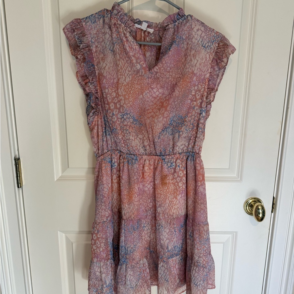 Women’s Pink and Blue Ruffle Dress